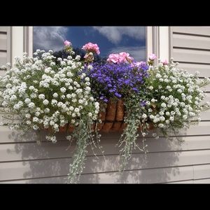 20% off bundles of two or more items